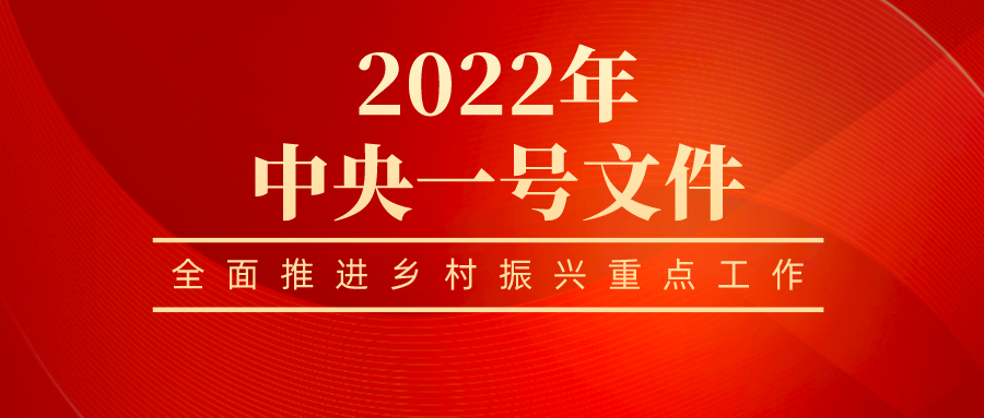 天津天隆农业科技有限公司全员学习贯彻 2022年中央一号文件精神